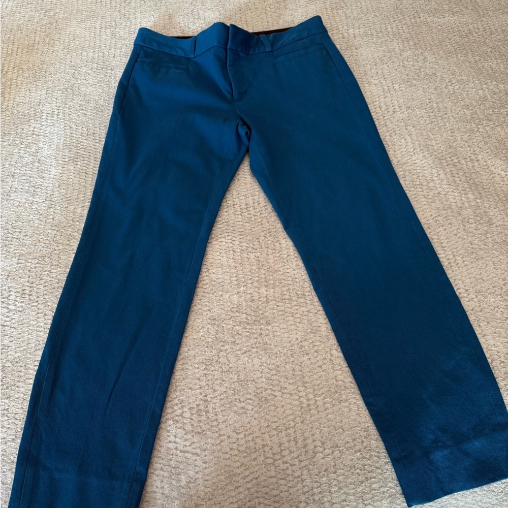 Banana Republic Teal Skinny Fit Pants
